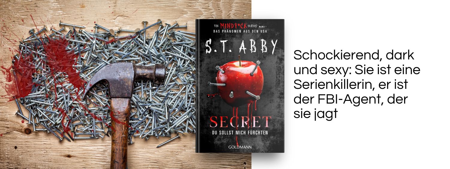 Hammer, Nägel, Blut. Link zum Buch Secret – Du sollst mich fürchten. 